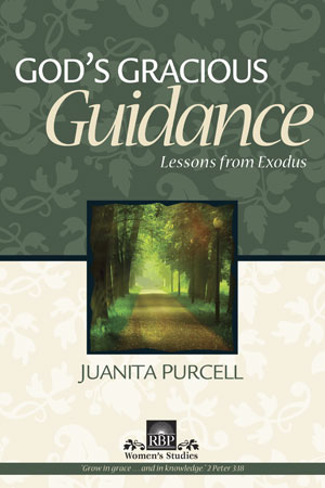 God's Gracious Guidance